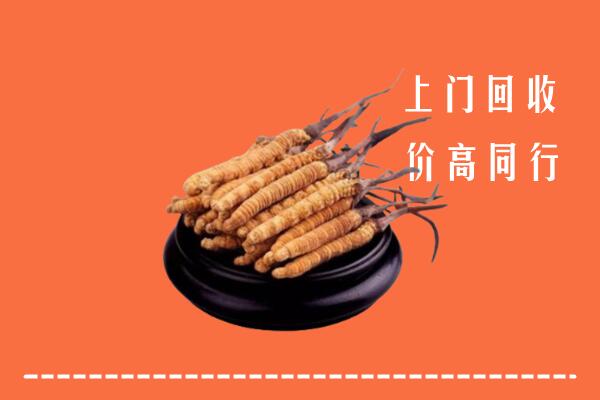 高价求购：嘉峪关市回收散虫草