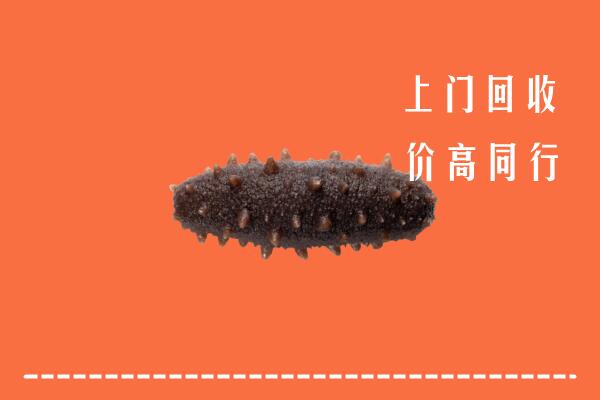 高价求购：嘉峪关市回收海参