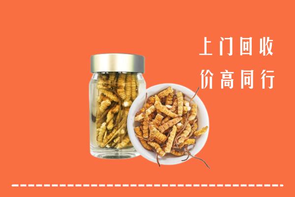 嘉峪关市回收冬虫夏草