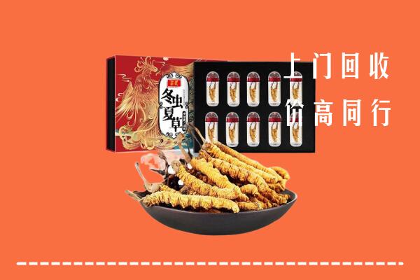 嘉峪关市回收虫草